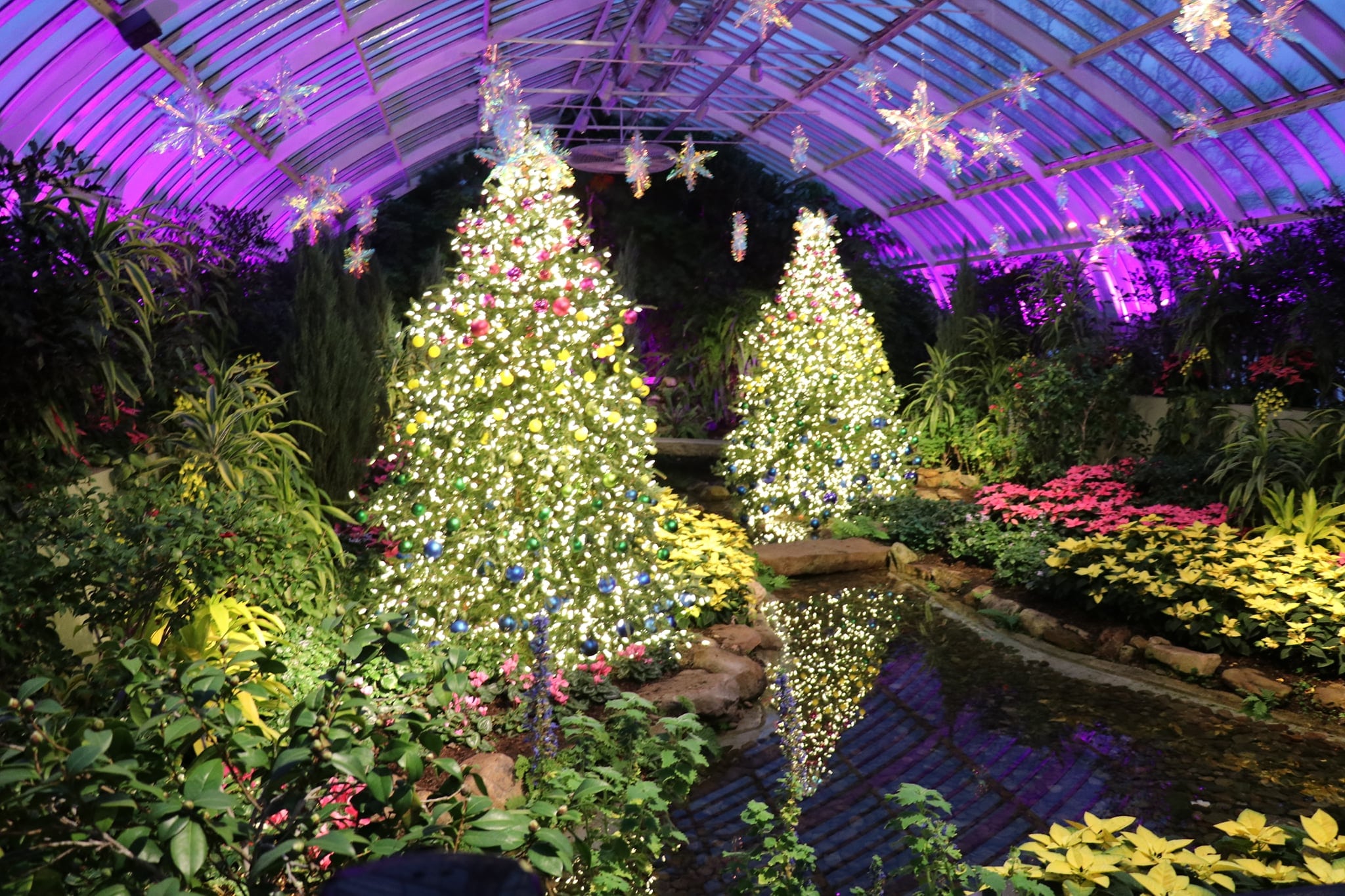 Christmas Lights, Pittsburgh Almost Heaven Tours